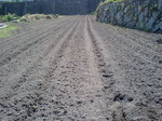 携帯画像2008.05.12 002.jpg