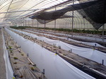 携帯画像2008.05.22 002.jpg