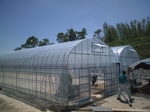 携帯画像2009.06.17 024.jpg