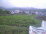 携帯画像2010.06.29 007.jpg