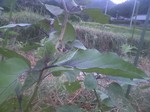 携帯画像2010.09.18 002.jpg