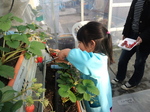 携帯画像2011.03.03 006.jpg