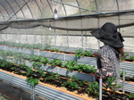携帯画像2011.10.21 001.jpg