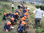 携帯画像2011.10.28 002.jpg