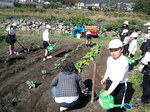 携帯画像2011.11.01 001.jpg