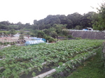 携帯画像2011.07.29 004.jpg