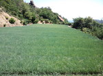 携帯画像2011.09.05 005.jpg