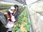 携帯画像2011.10.15 019.jpg