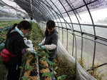 携帯画像2011.10.15 020.jpg