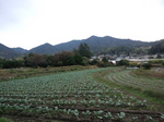 携帯画像2011.10.20 001.jpg