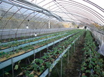 携帯画像2011.10.20 004.jpg