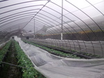 携帯画像2011.11.04 007.jpg